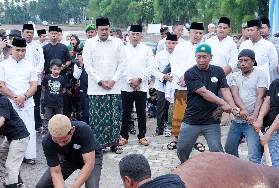 Wali Kota Medan dan Keluarga Berkurban Satu Ekor Sapi di Komplek Tasbi I