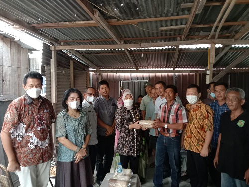 Dinas Ketahanan Pangan Kota Medan Berikan Bantuan Rumah Jamur Kepada Kelompok Tani Nusa Jadi